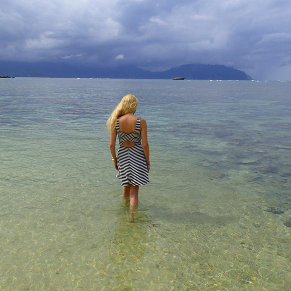 Meet your Posher, Sophie - Picture 1 of 1